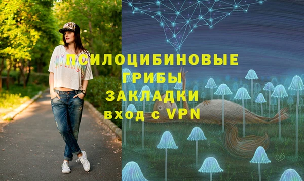 МДПВ Новокубанск