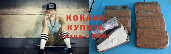 шишки Нея