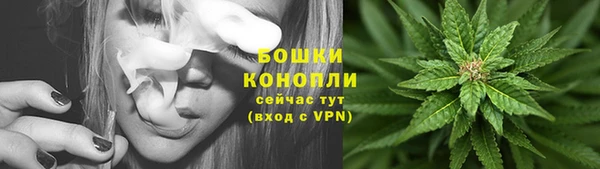 крисы Новодвинск