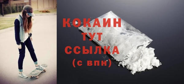 крисы Новодвинск