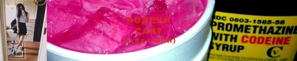 шишки Нея