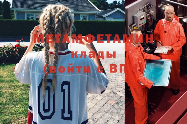 шишки Нея
