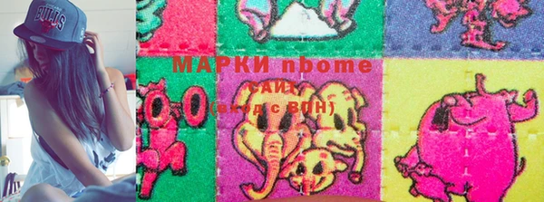 крисы Новодвинск