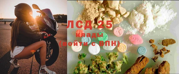 крисы Новодвинск